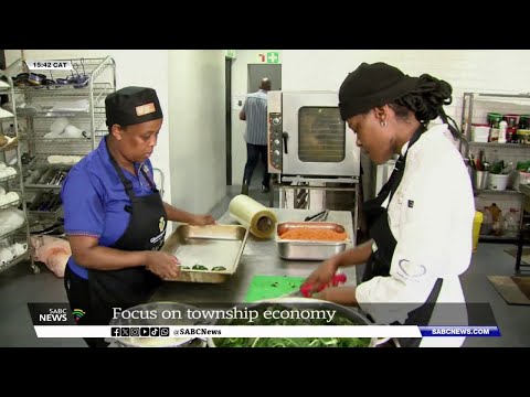 Township Economy | Calls for the regulation of informal sector