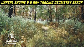 Unreal Engine 5.6 Ray Tracing Geometry Always Resident Memory Over Bud