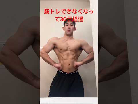 【絶望的】筋肉痛じゃない痛み筋トレできなくなって30日目#shorts#筋肉 #筋トレ#ボディビル