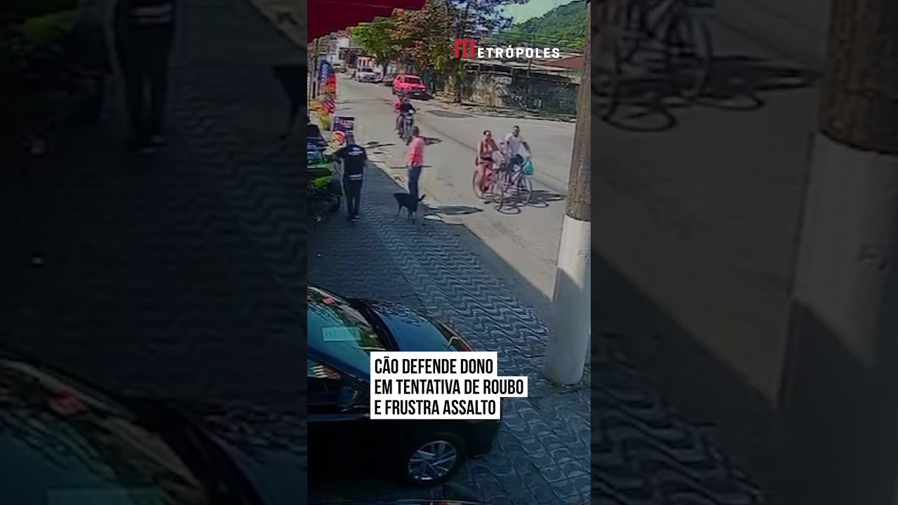 Cão defende dono em tentativa de roubo e frustra assalto