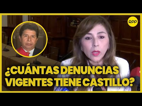 El expresidente Pedro Castillo tenía 25 denuncias