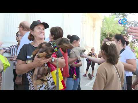 San Daniel acoge a las mascotas de Ceuta bajo su manto de protección