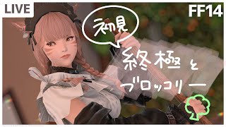 【FF14】再生4層久しぶりにいってみたい…！！黒魔くんと逝く過去零式！