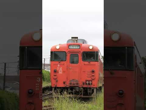 【小湊鐵道】2026.5.27-久し振りの早朝 short版 #小湊鐵道 #キハ40 #shorts