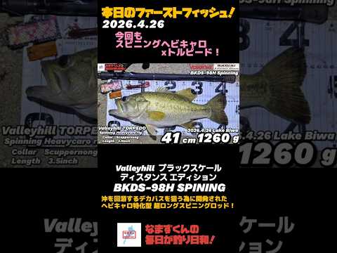 琵琶湖26.4.26 本日のファーストフィッシュ！スピニングヘビキャロ夜明けの1バイトだけでした！