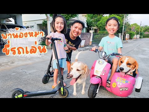 YimYamFamily|พาน้องหมาขี่รถเ