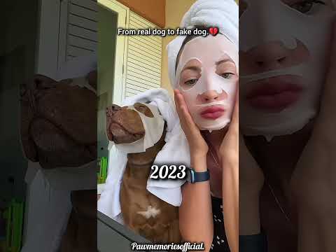 Real to fake dog.😢💔#dog #sadshorts #shortvideo #shorts