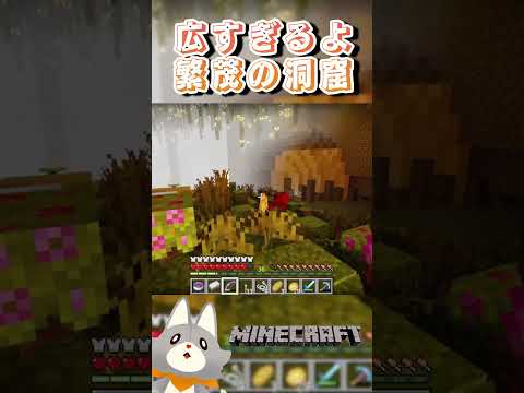 thumbnail_uEwtae5OqjM