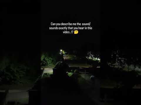 Anklet sounds outside my balcony at midnight. #spooky #scarysounds #anklets #cricket #mantis