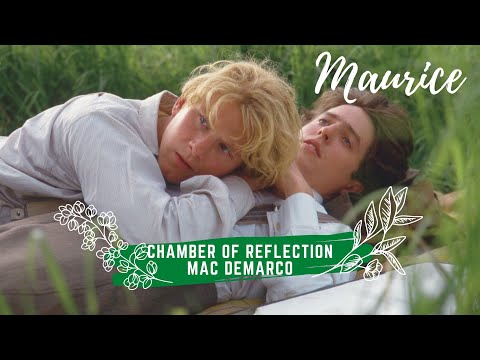 [Lyrics + Vietsub] Mac DeMarco - Chamber of Reflection | Maurice 1987