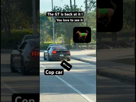 Cop car mustang back it again #reggae #naplesfl #cops #mustang #florida