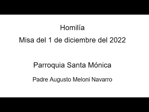 Homilía extraída de la Misa del 1 de diciembre del 2022