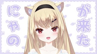 にゃのが来た！【雑談】