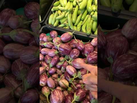 Eggplantsสารพัดมะเขือshots