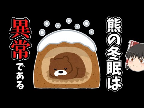【ゆっくり解説】熊が過酷な冬眠時期に出産する理由とは?【ヒグマの生態と合わせて解説】
