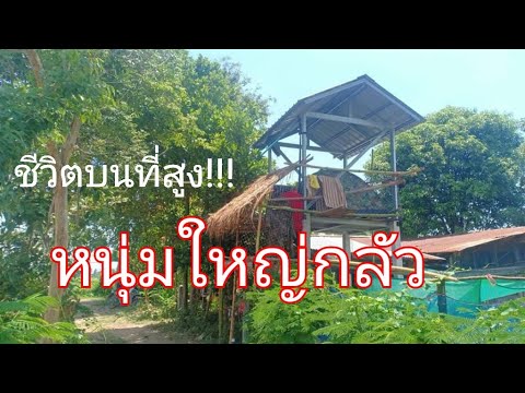 หนุ่มใหญ่ขออยู่แบบนี้และขอตายท หนุ่มใหญ่ขออยู่แบบนี้และขอตายท