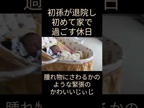 初孫に大緊張のじぃじ #赤ちゃん #赤ちゃんのいる生活 #癒し #産まれたて #初孫 #じじ#じぃじ#ほのぼの#ファミリー#ベビー用品