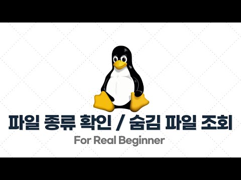 리눅스 입문·실전 - 2.3. 파일 종류 확인 / 숨김 파일 조회 (ls -l, ls -a)