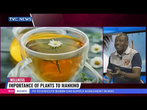 Author, ‘I Choose to Live’ Afolabi Coker Speaks on Importance of Plants to Mankind