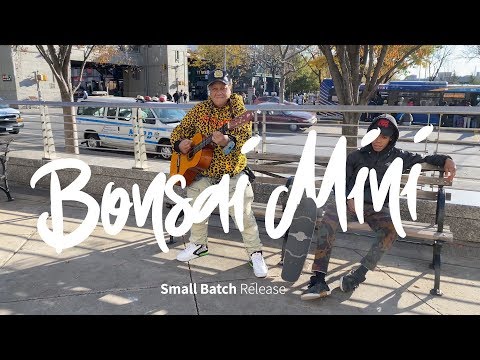 Bonsai Mini Small-Batch Release