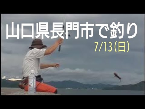 【7/13(日)】山口県長門市での釣り