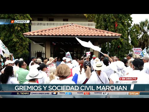 Gremios y miembros de la sociedad marchan en Chiriquí para exigir la reapertura de las vías