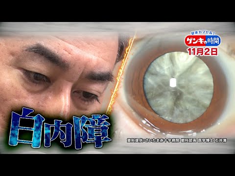 【CBC】11/2放送「健康カプセル！ゲンキの時間」は...