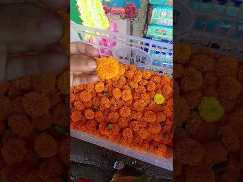 রজনীগন্ধা অনেকদিন পর দেখলাম #subscribe  #shortvideo #bangladesh