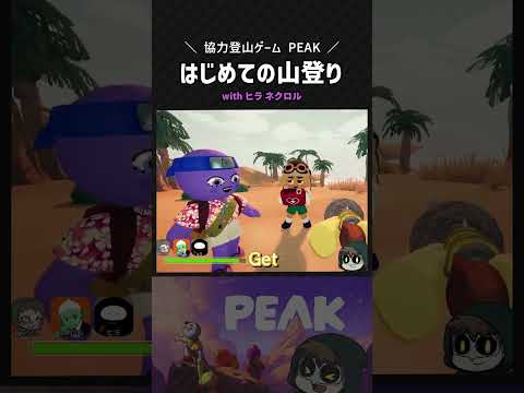 はじめての山登りに挑戦【PEAK】 #shorts