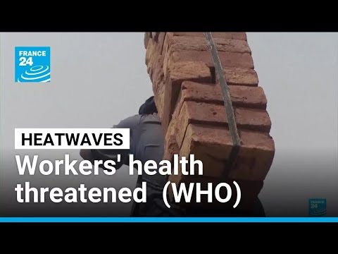 Workers' health threatened by heatwaves, WHO claims • FRANCE 24 English