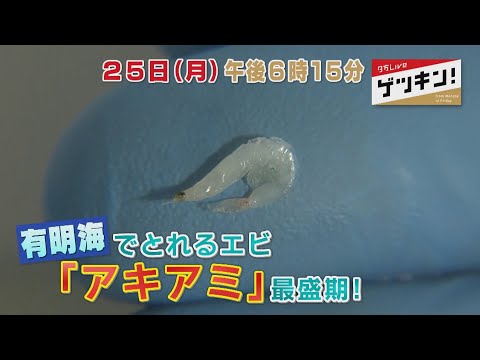 【番宣】１１月２５日（月）ゲツキン！