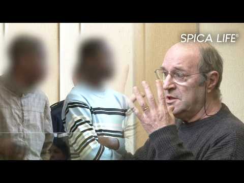 Devant ses braqueurs il craque : la scène choque le tribunal