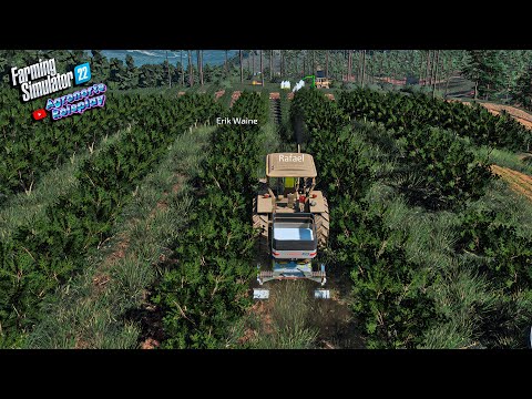 Agronorte Roleplay #35 | Adubando as laranjas | Farming simulator 22