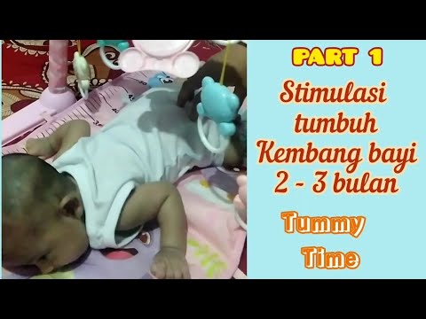 STIMULASI TUMBUH KEMBANG BAYI 2 - 3 BULAN || TUMMY TIME