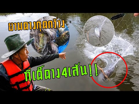 ไม่ธรรมดา!!-ทีเด็ดดาง4เส้น!!-พ ไม่ธรรมดา!!-ทีเด็ดดาง4เส้น!!-พ