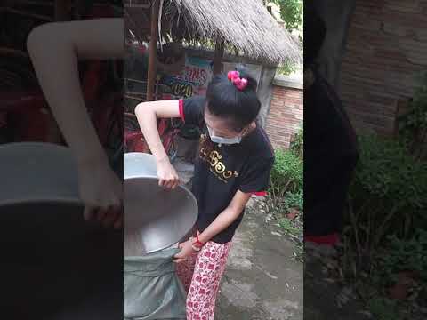 แม่เฒ่าน้องแป้งจะไปขายปลายข้าว แม่เฒ่าน้องแป้งจะไปขายปลายข้าว