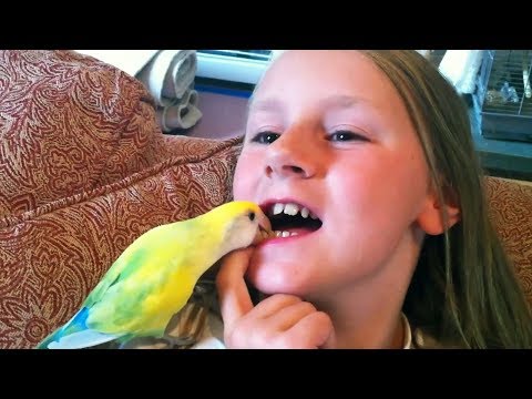 Most CREATIVE ways to PULL TEETH! - Funny Kids FAILS Compilation