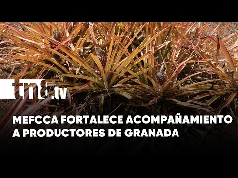 MEFCCA realiza visitas de acompañamiento y seguimiento a productores de Granada