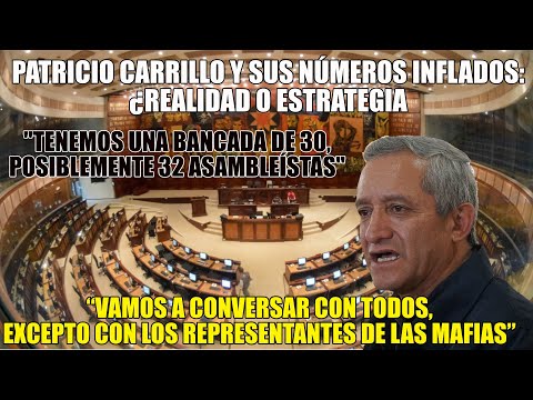 Movimiento 'Construye' Emerge con Bancada Fuerte en Asamblea: Declaraciones Clave de  Carrillo
