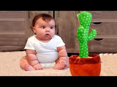 Funny Babies Scared by New Toy - Funniest Home Videos