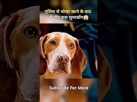 पुलिस से धोखा खाने के बाद ये कुत्ता#viral #shorts