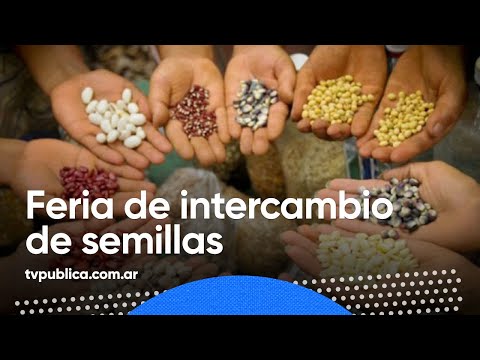 14° Feria de intercambio de semillas, saberes y sabores - Aire Nacional