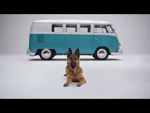 The VW KONG® For A Cause