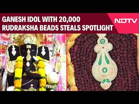 Ganesh Chaturthi: Nellore's Ganesh Idol With 20,000 Rudraksha Beads Steals The Spotlight