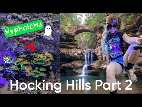 Hocking Hills: Part 2 | Spooky Mushrooms