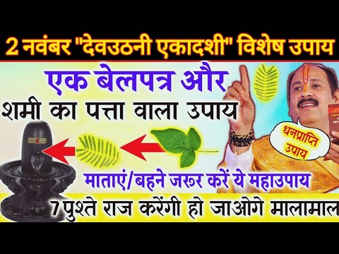 2 नवंबर #देवउठनी #एकादशी विशेष उपाय | 1 बेलपत्र और शमी के पत्ते का उपाय | pradeep mishra today upay 