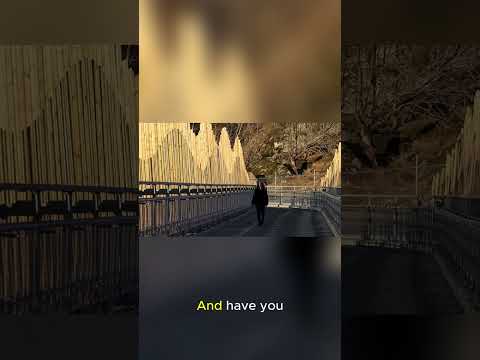 “You Won’t Believe What’s Inside This Cave 🌏🕳️”