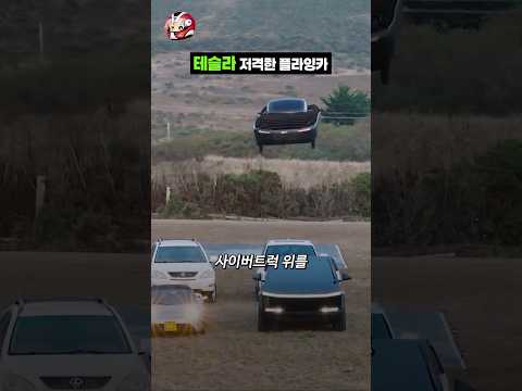 <strong>테슬라</strong> 저격한 플라잉카