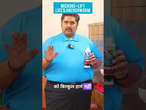 Microbe-Lift lice and Anchorworm _ useful medicine Mob. No_
+ 91 8104999738/
+91 9819194869/
+91 9820000001
Email_ enviroaquaria@gmail.com