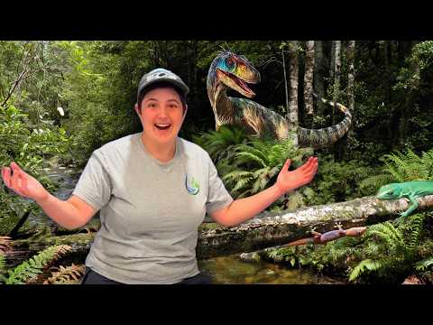 Creating a Jurassic Park Themed BIOACTIVE!!